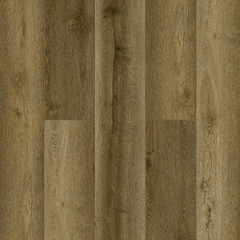  Tulesna Verano-R SPC 1002-21-R Olwen 4V
