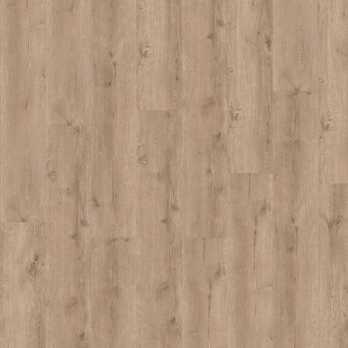  ADELAR SPC Eterna Major Oak 05829LG