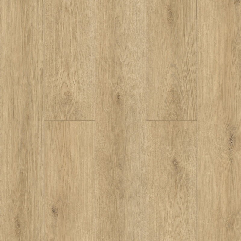  Tulesna Verano-R SPC 1002-9-R Caro 4V