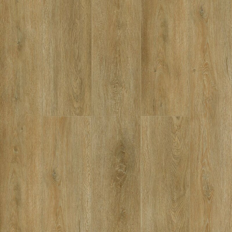  Tulesna Verano-R SPC 1002-18-R Alcmena 4V
