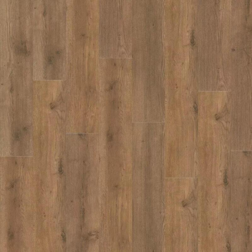  ADELAR SPC Eterna Major Oak 05855LG