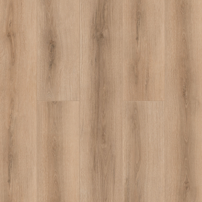  Tulesna Verano-R SPC 1002-17-R Bellone 4V