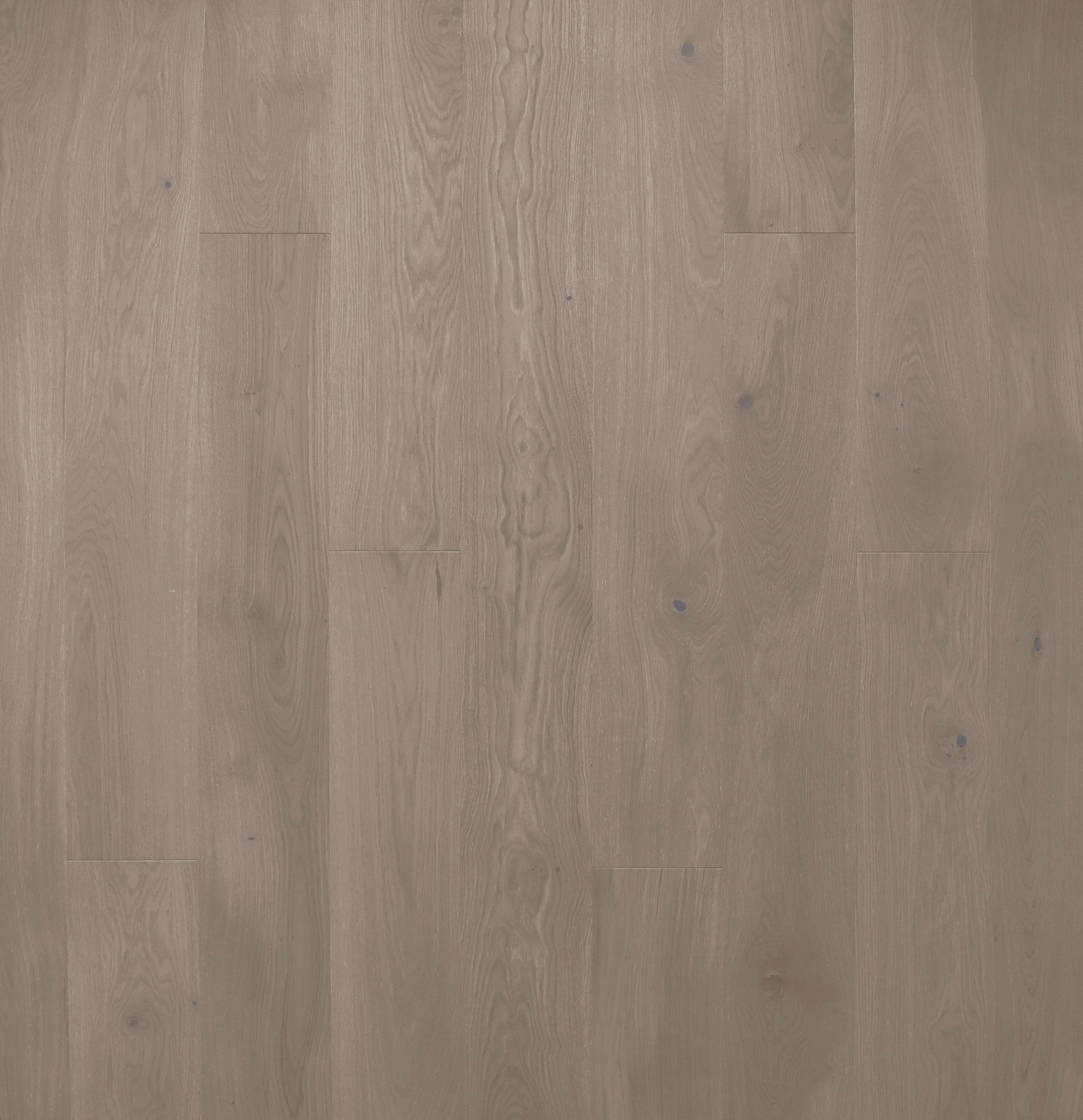  Karelia  Bloom Дуб Стори КАМЕЛИЯ Ультраматовый лак однополосный OAK STORY CAMELLIA DEEP MATT