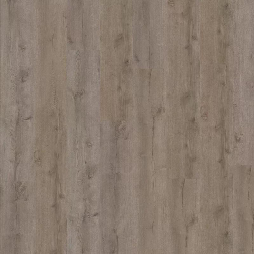  ADELAR SPC Eterna Acoustic Major Oak 05929LG