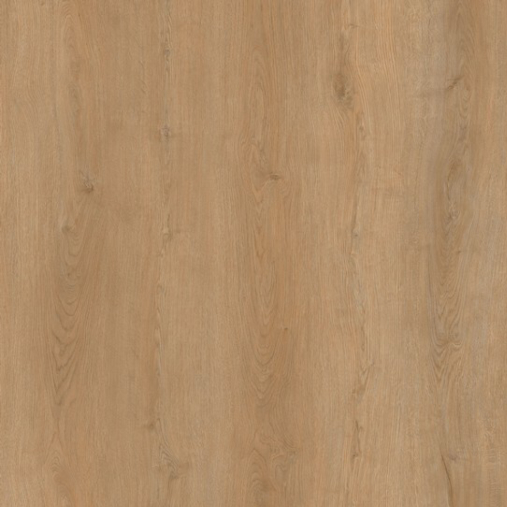  EvoFloor Home (Rus) Oak Honey