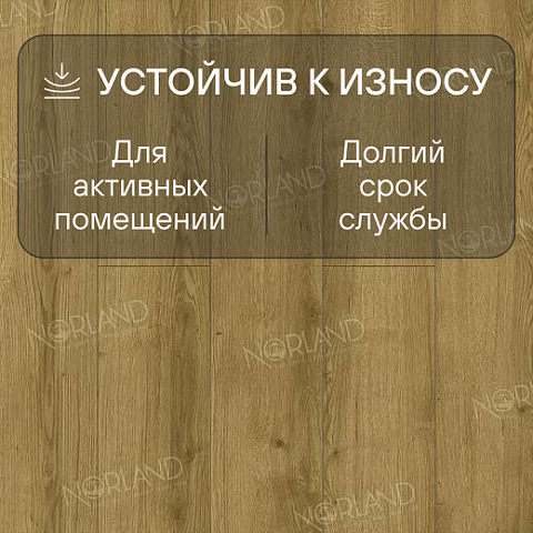 Norland Elegant 8 4V 33 (CH) LF301-17 Дуб Фанэн (фото 3)
