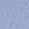Линолеум Forbo Sphera Element 51037 Contrast China blue - 2.0 (миниатюра фото 1)
