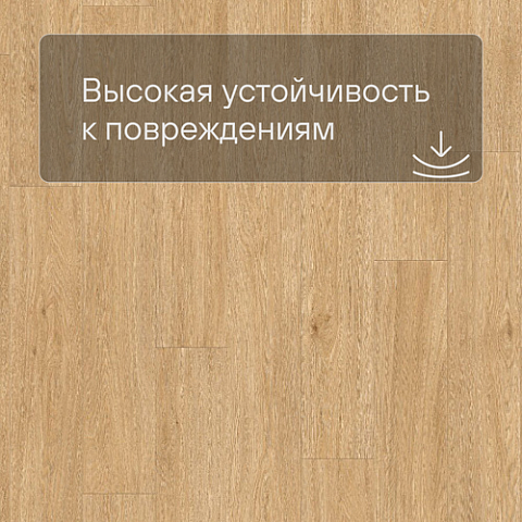 Quick Step LIVYN Balance Glue Plus BAGP 40130 Дуб шёлковый тёплый натуральный (фото 5)
