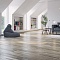 Polarwood Ясень Ливинг белый матовый трехполосный Ash Living White Matt 3S (миниатюра фото 3)