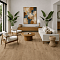 Norland Sigrid LVT (CH) 1003-20 Niky 4V 34кл (миниатюра фото 2)