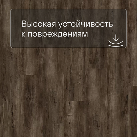 QS SPC Oasis OSPC 20261 Дуб тенистый (фото 5)