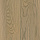ESTA 1 Strip 21088 Ash Elegant Champagne brushed matt 2B 2100 x 160 x 14мм