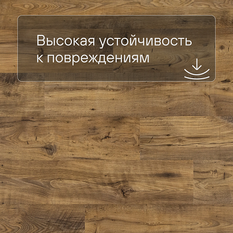 QS Second choice Alpha BLOS  SPE40029 - AVSPU 40029 Каштан винтажный натуральный (фото 5)