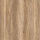Corkart Enzo 4V PY 4006 LNN X / DNN X