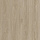 Evofloor Optima Click (CN) Oak Gavana