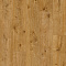 Ламинат Clix Floor Basis CXB 600 Дуб Грас (миниатюра фото 1)
