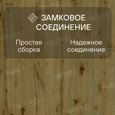Norland Elegant 8 4V 33 (CH) LF301-14 Дуб Скай (фото 4)