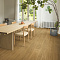 Ламинат Quick Step Classic Plus Hydro (RUS) CLH 5796 Дуб термо натуральный (миниатюра фото 4)