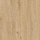 Norland Sigrid SPC (RUS) 1001-3-R Dor 4V