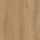 EvoFloor Home (Rus) Oak Honey