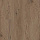 Norland Sigrid SPC (RUS) 1001-17-R Merian 4V