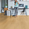 ПВХ-плитка Quick-Step QS Alpha Vinyl BLOOM планка AVMPU 40098 Дуб чистый медовый (миниатюра фото 6)