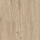 Norland Sigrid SPC (RUS) 1001-1-R Abbi 4V