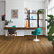 ПВХ-плитка Quick-Step QS Alpha Vinyl BLOOM планка AVMPU 40315 Эко карамельный (миниатюра фото 7)