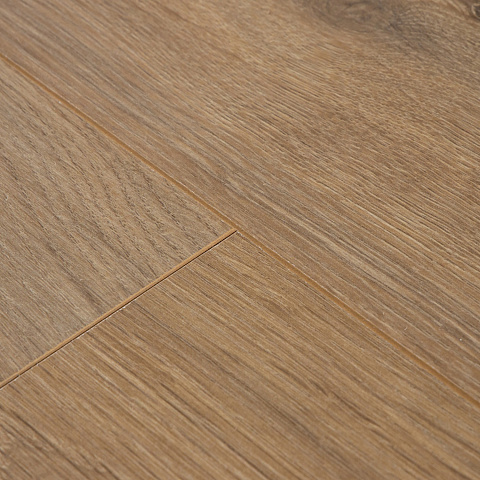 Ламинат Clix Floor Basis CXB 600 Дуб Грас (фото 3)