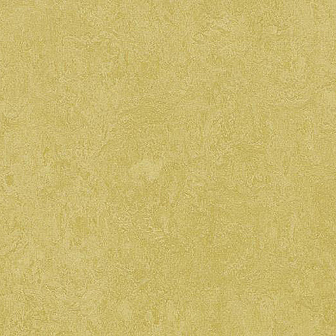 Линолеум Forbo Marmoleum Marbled Fresco 3259 Mustard - 2.5 (фото 2)