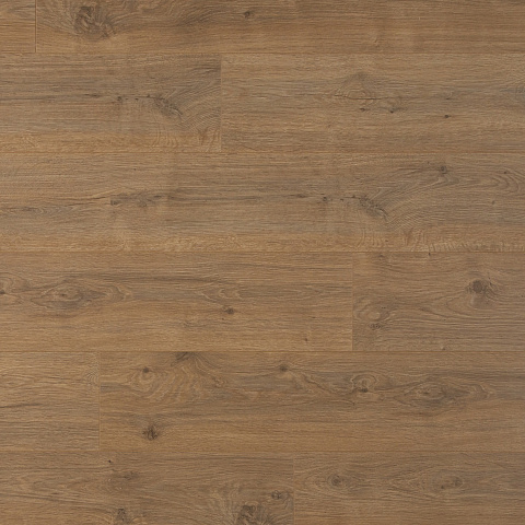 Ламинат Clix Floor Basis CXB 600 Дуб Грас (фото 1)